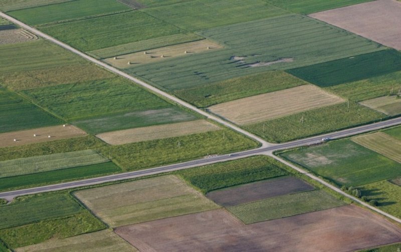 Pasėliai