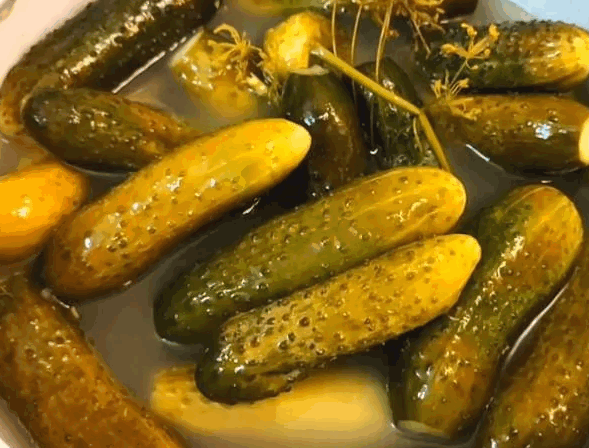 Raugintų agurkų reikšmė – istorija ir gamyba Rauginti agurkai