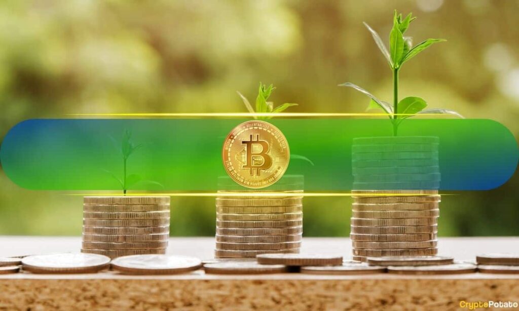 Bitcoin kaupimo modeliai rodo vėlyvos stadijos ciklo brandą, neapibrėžtą pabaigą: CryptoQuant