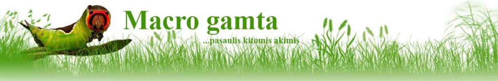 ES valstybių narių aplinkos ministrai susitarė dėl ES 2040 metų klimato tikslo