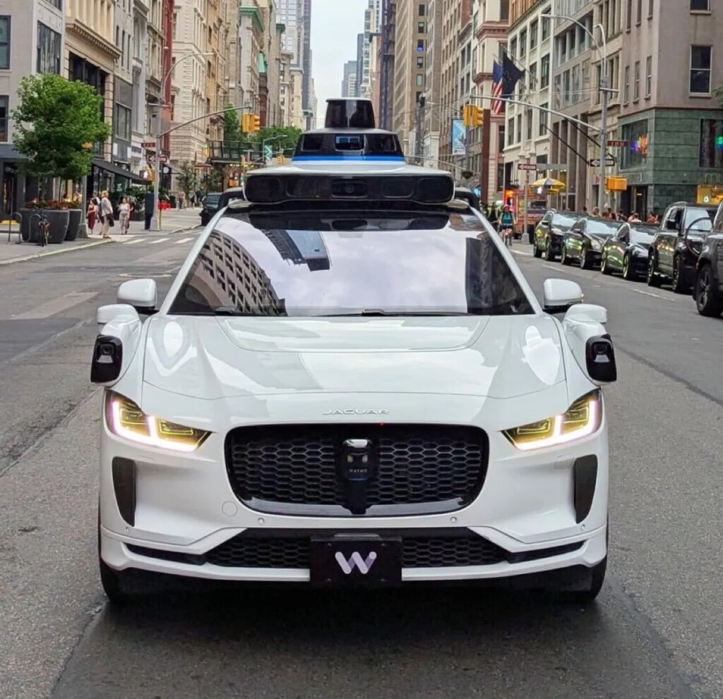Mylimo SF katės mirtis kursto Waymo kritiką
