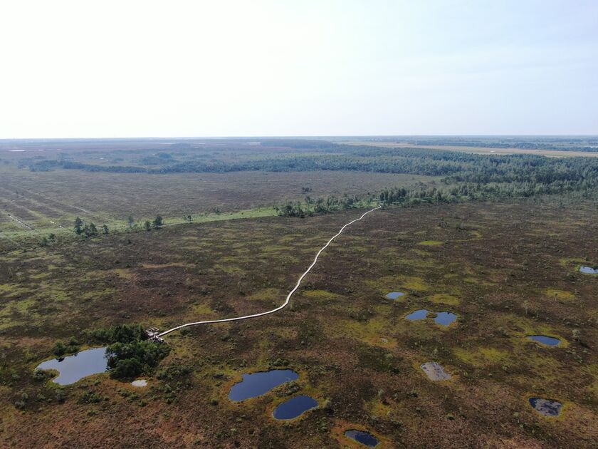 Pasaulinė pelkių diena primena šių unikalių ekosistemų svarbą Lietuvoje