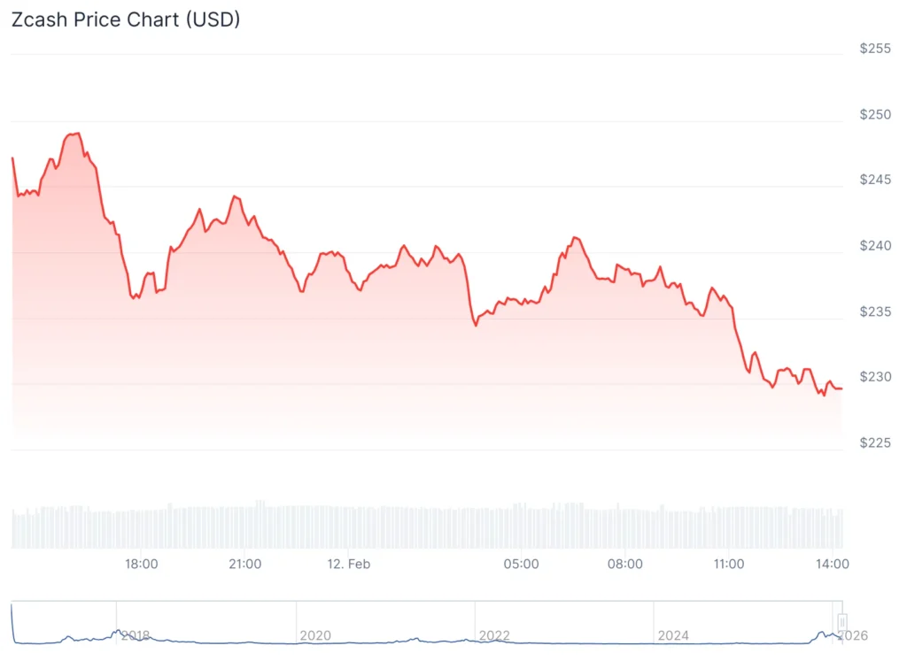 „Zcash“ kaina smunka, stambūs turėtojai mažina pozicijas 38%