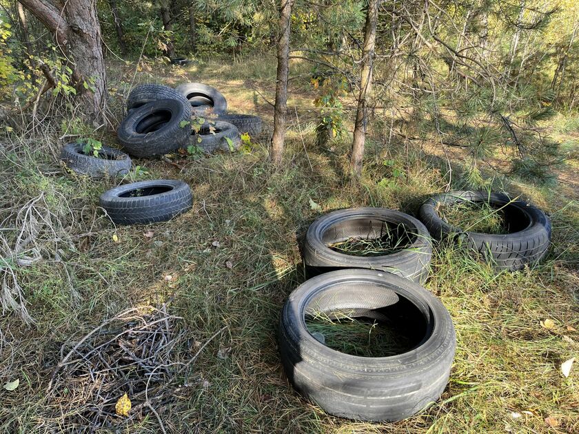 Lietuvoje prasideda vasarinių padangų sezonas: ką svarbu žinoti vairuotojams?