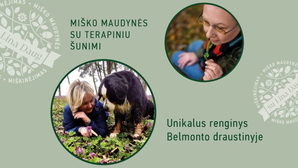 Unikali patirtis Belmonto draustinyje: miško maudynės kviečia į gamtos ir ryšio susitikimą