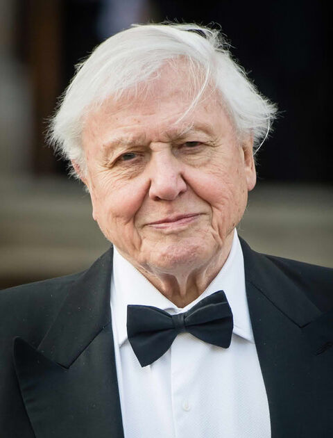 Lietuvoje pradeda veikti leidykla „Natura Libris“, orientuota į knygas apie gamtą